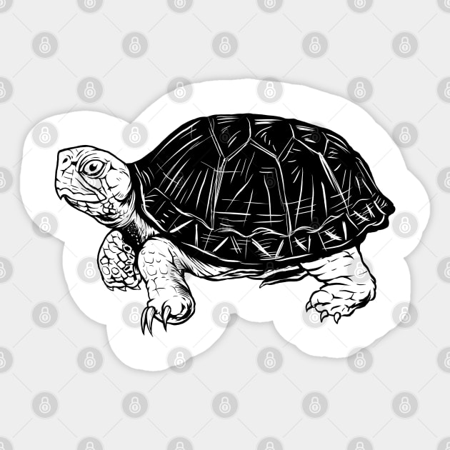 Line drawing - turtle Sticker by Modern Medieval Design